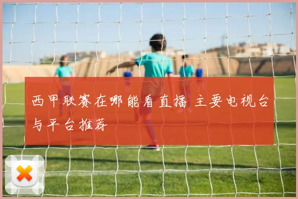 西甲联赛在哪能看直播 主要电视台与平台推荐