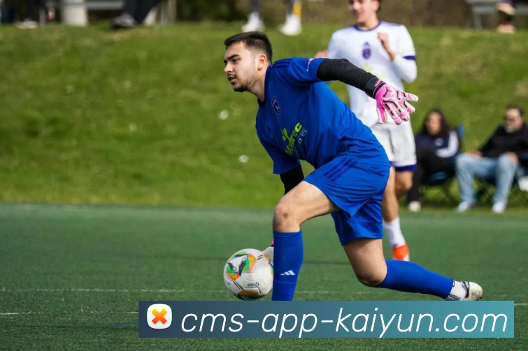 开云app品牌故事