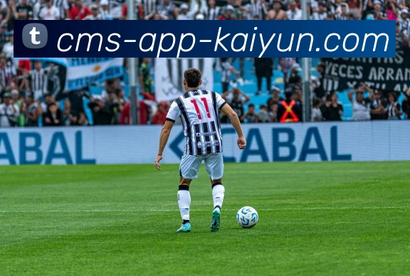 开云app服务体系