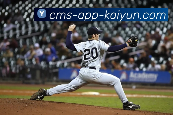 开云appAPP 封面图